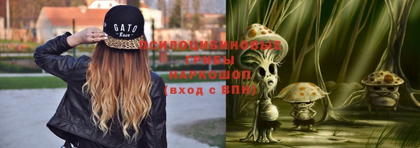 мдпв Волоколамск