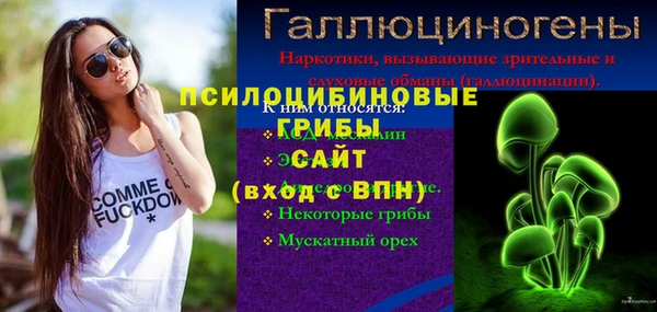 мдпв Волоколамск