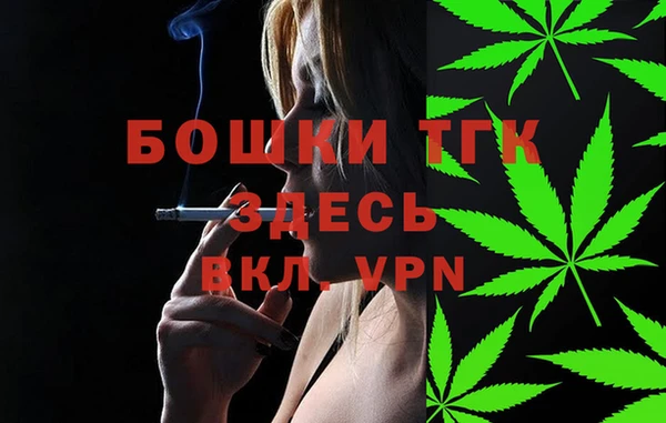 мдпв Волоколамск