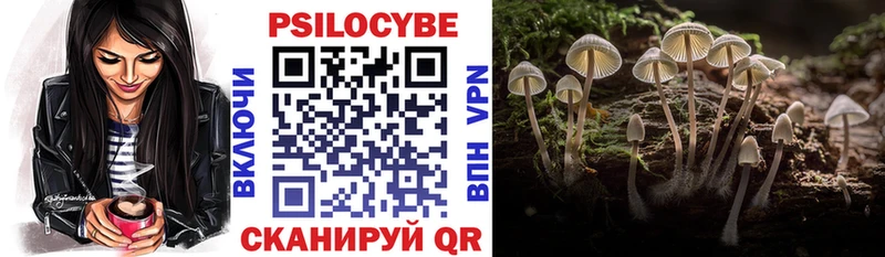 Псилоцибиновые грибы мицелий  Шарья 